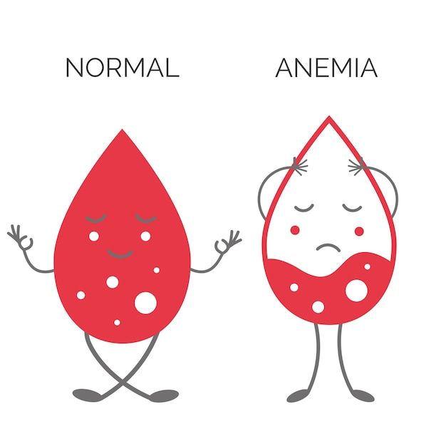 Anemia and Blood Disorders: Causes, Symptoms, Treatment, and Care Guide